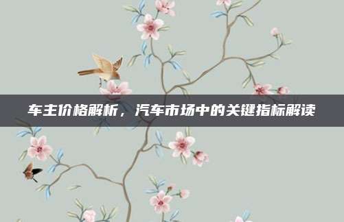 车主价格解析,汽车市场中的关键指标解读