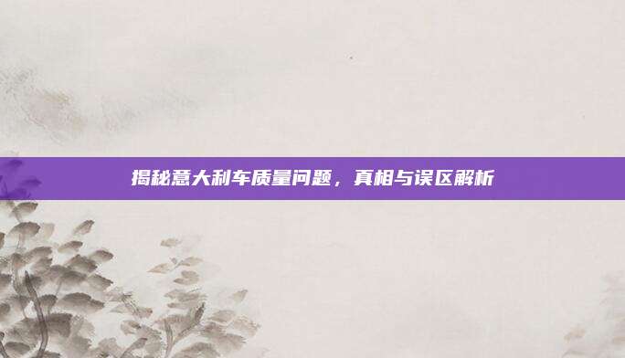 揭秘意大利车质量问题，真相与误区解析