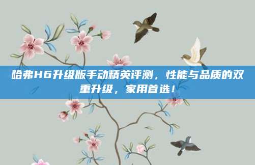 哈弗H6升级版手动精英评测,性能与品质的双重升级,家用首选!