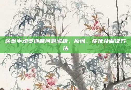 途观手动变速箱问题解析,原因、症状及解决方法