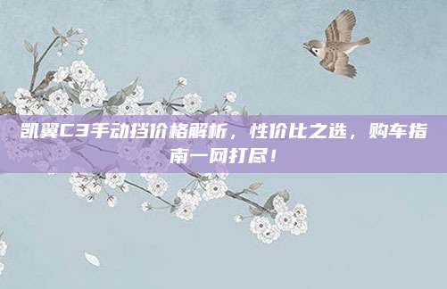 凯翼C3手动挡价格解析，性价比之选，购车指南一网打尽！