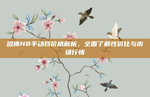 哈佛H8手动挡价格解析，全面了解性价比与市场行情