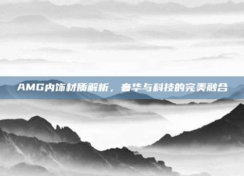 AMG内饰材质解析，奢华与科技的完美融合