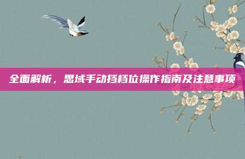 全面解析,思域手动挡档位操作指南及注意事项