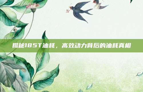 揭秘185T油耗,高效动力背后的油耗真相
