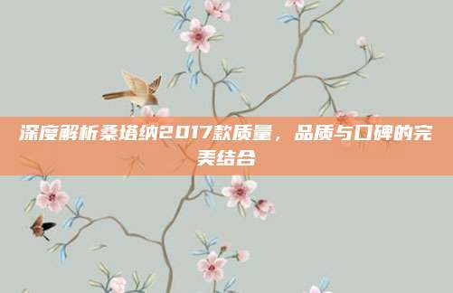深度解析桑塔纳2017款质量,品质与口碑的完美结合