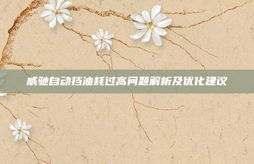 威驰自动挡油耗过高问题解析及优化建议