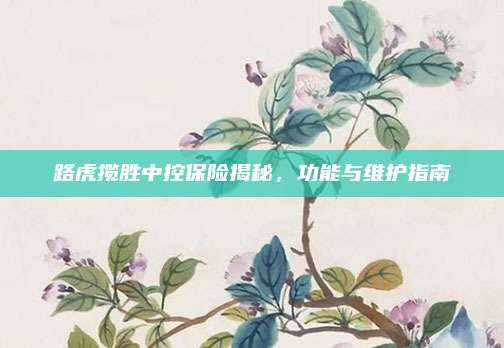 路虎揽胜中控保险揭秘，功能与维护指南