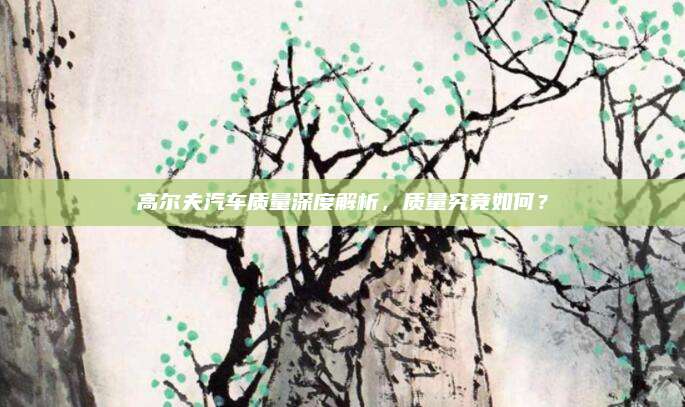 高尔夫汽车质量深度解析,质量究竟如何?