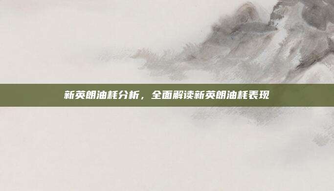新英朗油耗分析,全面解读新英朗油耗表现