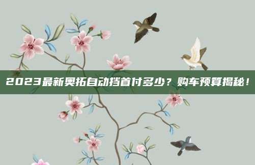 2023最新奥拓自动挡首付多少?购车预算揭秘!