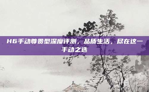 H6手动尊贵型深度评测，品质生活，尽在这一手动之选
