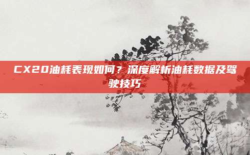 CX20油耗表现如何?深度解析油耗数据及驾驶技巧