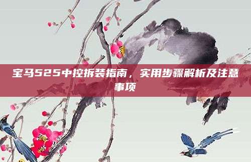 宝马525中控拆装指南,实用步骤解析及注意事项