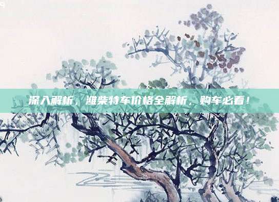 深入解析,潍柴特车价格全解析,购车必看!