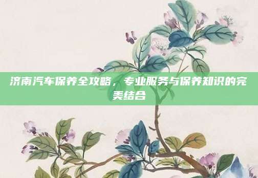 济南汽车保养全攻略,专业服务与保养知识的完美结合