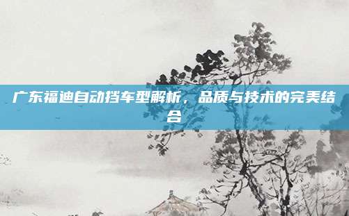 广东福迪自动挡车型解析,品质与技术的完美结合