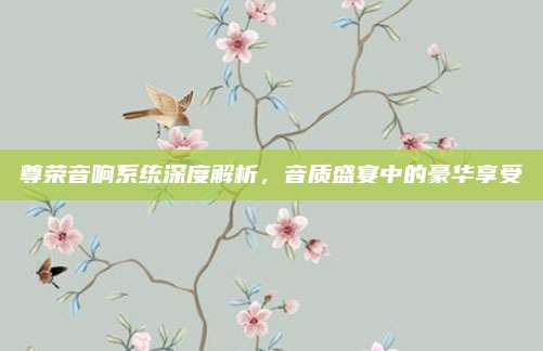 尊荣音响系统深度解析,音质盛宴中的豪华享受