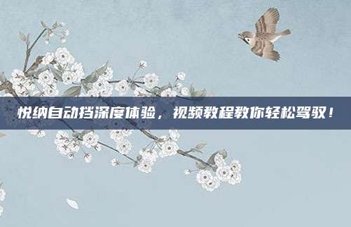 悦纳自动挡深度体验,视频教程教你轻松驾驭!