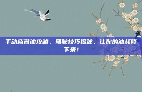 手动档省油攻略,驾驶技巧揭秘,让你的油耗降下来!