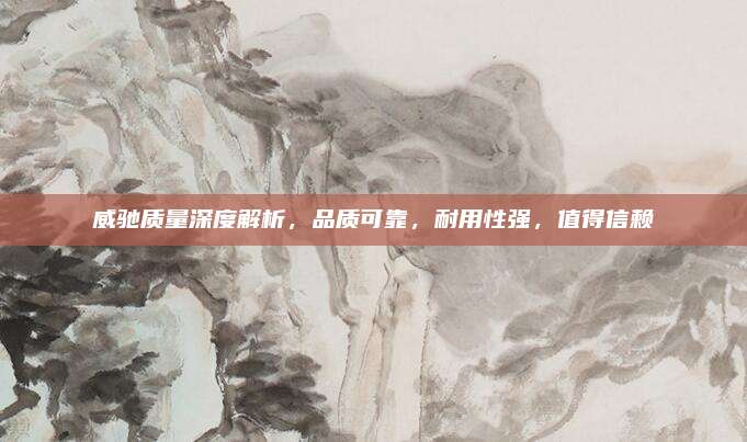 威驰质量深度解析,品质可靠,耐用性强,值得信赖
