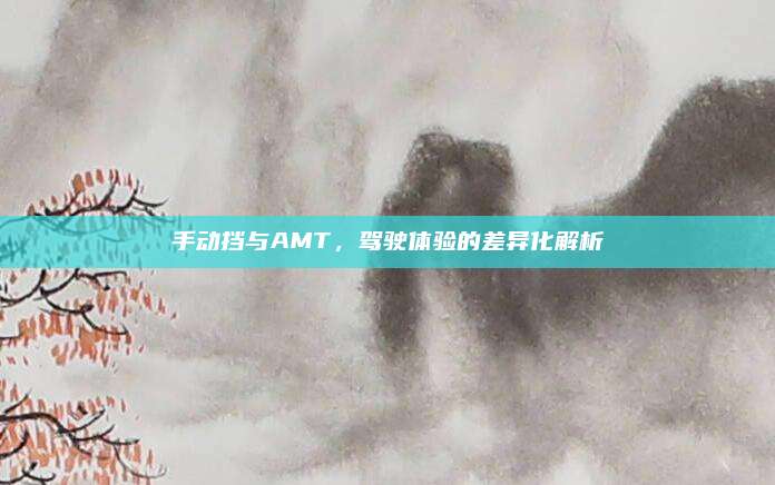 手动挡与AMT,驾驶体验的差异化解析