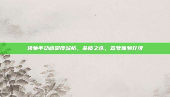 焕驰手动版深度解析,品质之选,驾驶体验升级