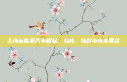 上海新能源汽车崛起,趋势、挑战与未来展望