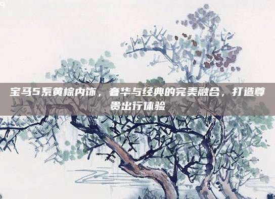 宝马5系黄棕内饰,奢华与经典的完美融合,打造尊贵出行体验