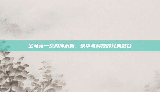 宝马新一系内饰解析,豪华与科技的完美融合