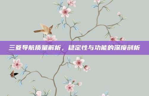 三菱导航质量解析,稳定性与功能的深度剖析
