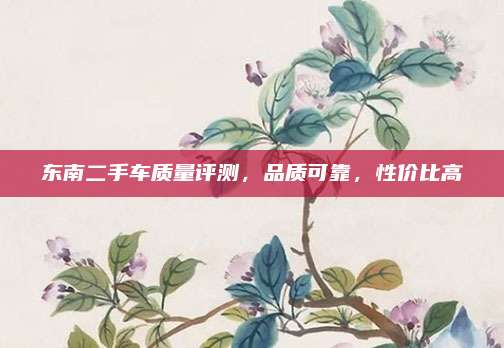 东南二手车质量评测,品质可靠,性价比高