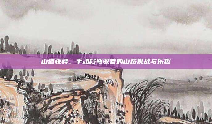 山道驰骋,手动档驾驭者的山路挑战与乐趣