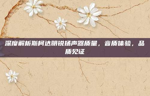 深度解析斯柯达明锐扬声器质量，音质体验，品质见证