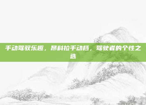 手动驾驭乐趣,昂科拉手动档,驾驶者的个性之选