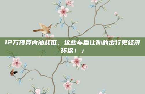 12万预算内油耗低,这些车型让你的出行更经济环保!」