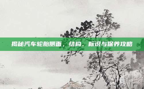 揭秘汽车轮胎侧面,结构、标识与保养攻略