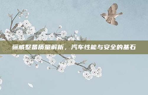 骊威整备质量解析,汽车性能与安全的基石