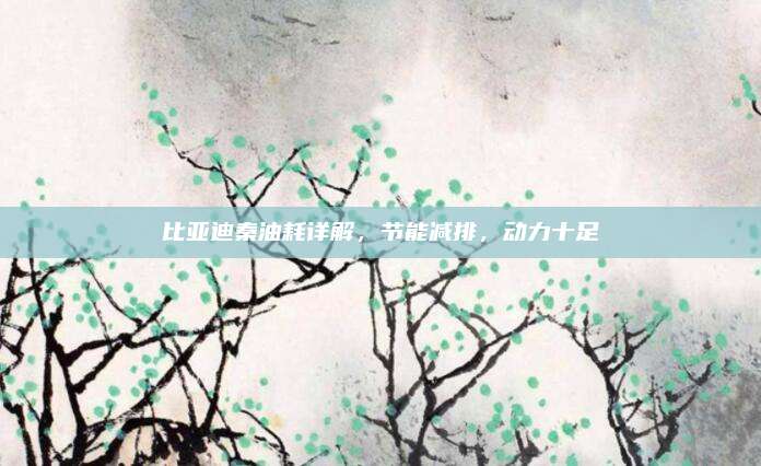 比亚迪秦油耗详解，节能减排，动力十足