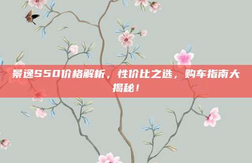 景逸S50价格解析,性价比之选,购车指南大揭秘!