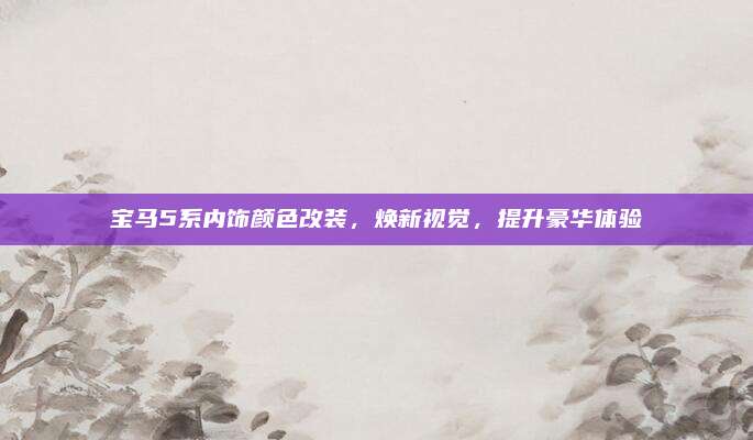 宝马5系内饰颜色改装,焕新视觉,提升豪华体验