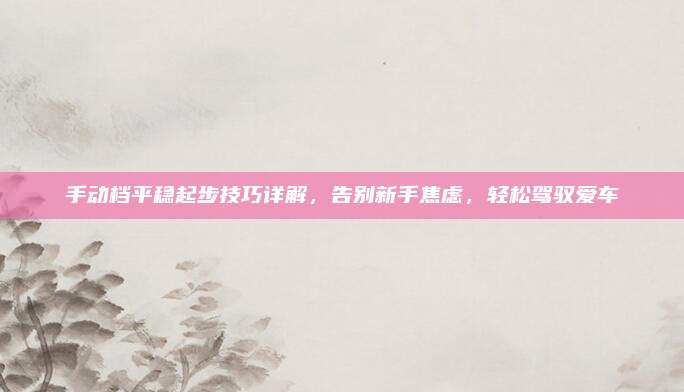 手动档平稳起步技巧详解,告别新手焦虑,轻松驾驭爱车