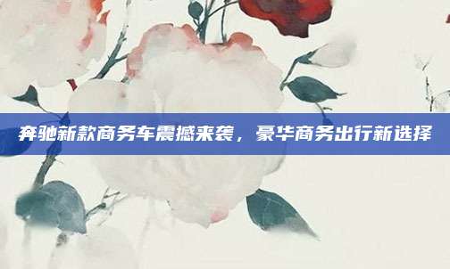 奔驰新款商务车震撼来袭,豪华商务出行新选择