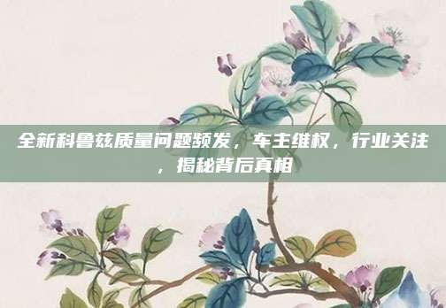 全新科鲁兹质量问题频发,车主维权,行业关注,揭秘背后真相