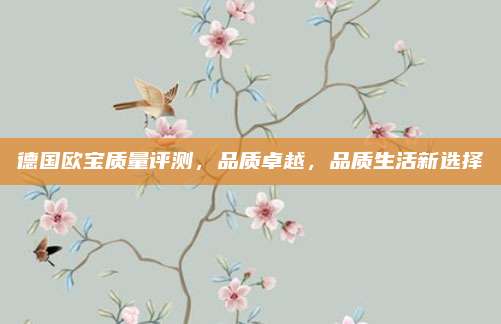德国欧宝质量评测，品质卓越，品质生活新选择