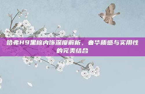 哈弗H9黑棕内饰深度解析,奢华质感与实用性的完美结合