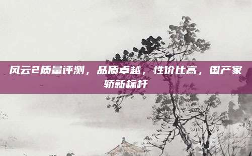 风云2质量评测,品质卓越,性价比高,国产家轿新标杆