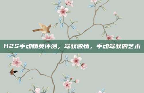 H2S手动精英评测,驾驭激情,手动驾驭的艺术