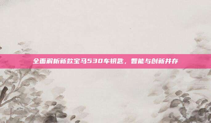 全面解析新款宝马530车钥匙,智能与创新并存