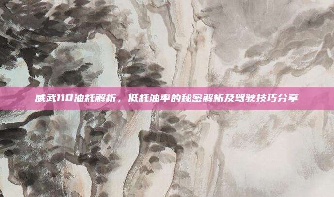威武110油耗解析,低耗油率的秘密解析及驾驶技巧分享